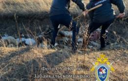 Бомж убил мужчину на животноводческой стоянке в Акшинском районе