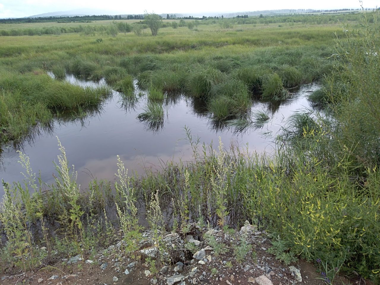 Уровень воды повысился на некоторых реках Забайкалья