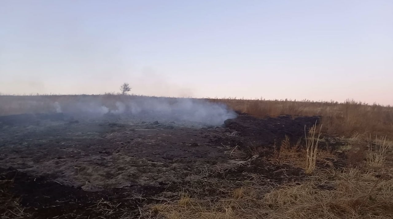 В забайкальской степи почти год горят бараньи какашки