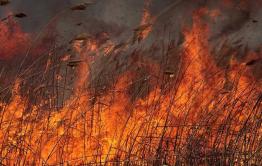 По факту пожара в Борзинском районе возбуждено уголовное дело
