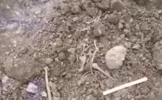 Кости древнего человека, найденные в Кокуе. Сретенский район, 17 октября. Фото ИА ZabNews