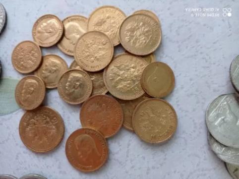 В Забайкалье пенсионерка нашла 110 старинных монет на своем огороде, но ей их не возвращают