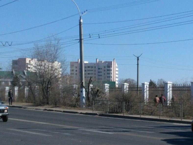 ​Рекламное агентство «Скандал» обрезает деревья на «Локомотиве», наплевав на запрет сити-менеджера Читы