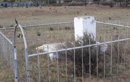 Красные партизаны в забвении