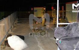 ​Одного из выживших во время расстрела в Горном перевезли в Читу, с трупами работают следователи