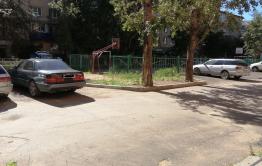 Читинка еле успела спасти ребенка от своры бродячих собак в центре города