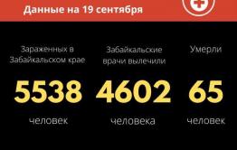 За сутки в Забайкалье почти 60 человек заразились коронавиурсом 
