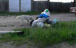 «Олерон» — мусорный генератор