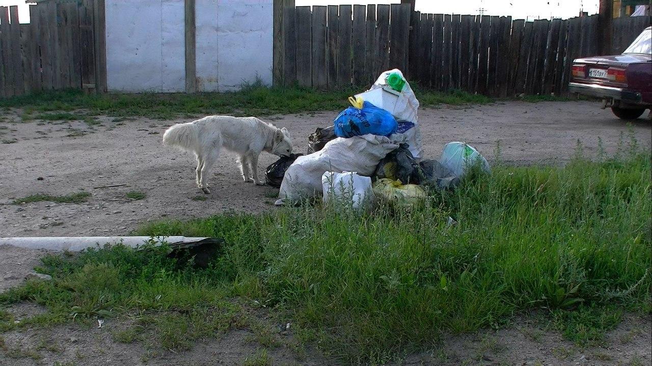 «Олерон» — мусорный генератор