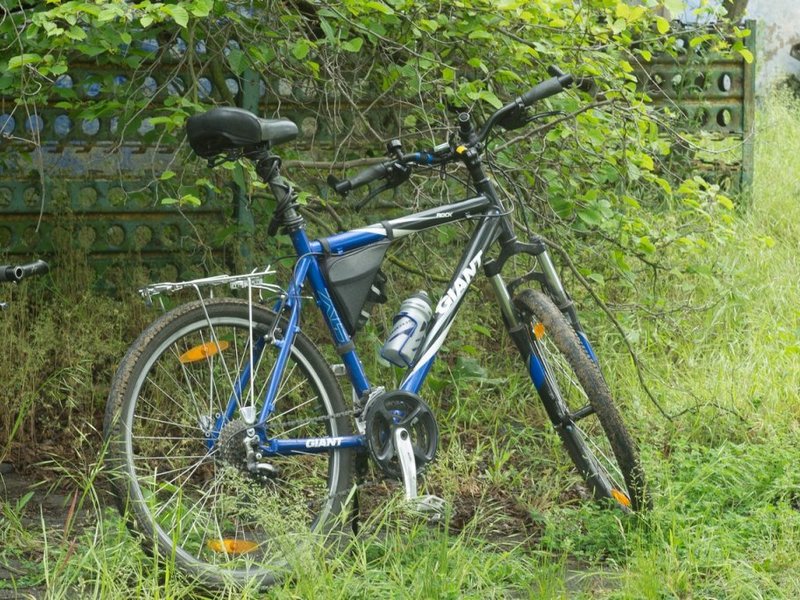 Мужчина похитил велосипед у соседки, чтобы быстрее спровадить бывшую жену