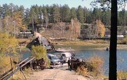 Читинские дачники спасали свой урожай с риском для жизни