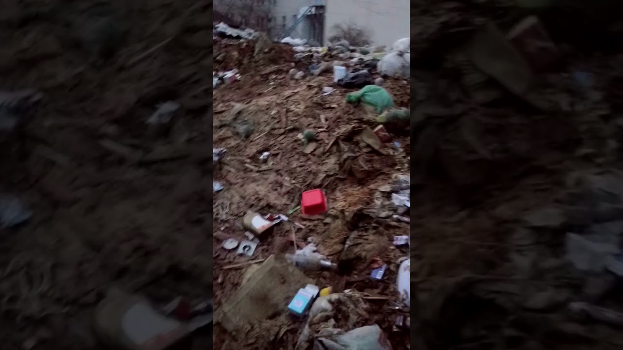 В Чите по ул. Столярова, 35 УК не вывозит мусор десять лет