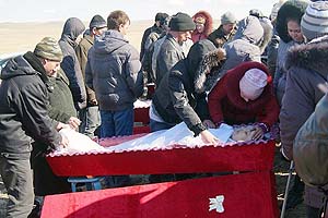 Село Красный Великан: отравителям предъявлено обвинение