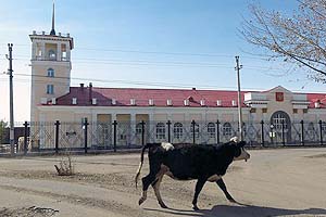 В Забайкальске построят терминал для перегрузки мяса
