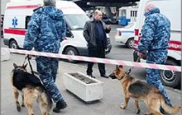 Телефонной  террористкой в Чите оказалась медсестра  - мать троих детей