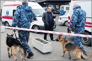 Телефонной террористкой в Чите оказалась медсестра - мать троих детей