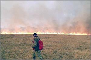 Почти вся степь возле сел Тырин и Верхний Ульхун выгорела дотла