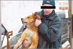 Догхантеры будут отстреливать псов из пулемета