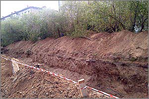 ТГК-14 уничтожает не только дороги, но и деревья