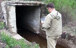 В могочинской воде можно найти не только пиявок-мутантов, но и червей