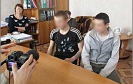 Декриминализация: Про мух, слонов, коров и пилу