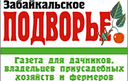 «Вечорка» открывает новую рубрику «Твое Забайкальское подворье»