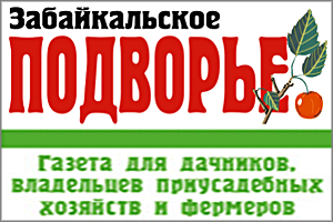 «Вечорка» открывает новую рубрику «Твое Забайкальское подворье»