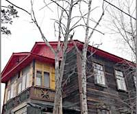 Сухие деревья на улице Нагорной в Чите до сих пор не спилены