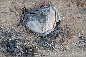 В селе Большая Тура на минах подорвались дети