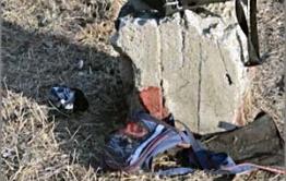 Домашние собаки угрожают детям в Парке Пионеров