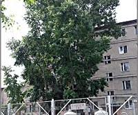 Жители 12-го городка в Чите опасаются взрыва газа