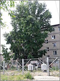 Жители 12-го городка в Чите опасаются взрыва газа