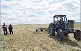 Кормозаготовительная кампания в крае проходит в условиях практически полного отсутствия травы