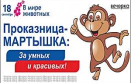 «Руки прочь!»: Неизвестные срывают рекламные баннеры «Вечорки»