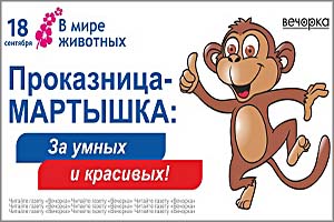 «Руки прочь!»: Неизвестные срывают рекламные баннеры «Вечорки»