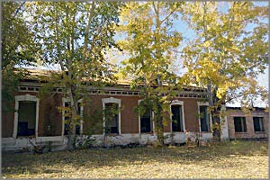 Культуру и туберкулез – в массы?