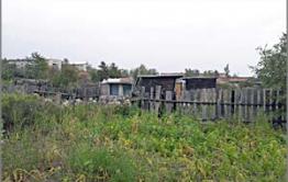 Девочка, пострадавшая в агрогородке «Опытный» в Чите скончалась