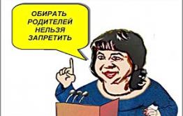 Прокуратура: В образовательных учреждениях Забайкальска нарушали Конституцию России