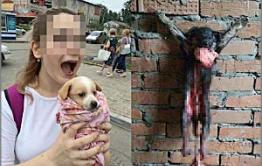 Одна из хабаровских живодёрок едет в Читу