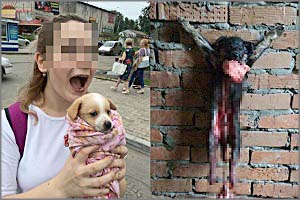 Одна из хабаровских живодёрок едет в Читу
