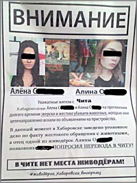 В Чите появились листовки против переезда в Читу одной из хабаровских живодерок