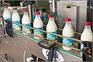 В молочной продукции компании «Вимм-Билль-Данн» обнаружили ящур