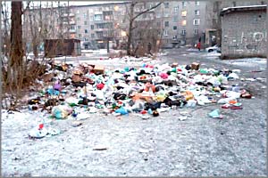 Жильцы дома на Недорезова превратили двор в помойку из-за отсутствия контейнера