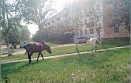 У забайкальских пенсионеров государство украло пенсии