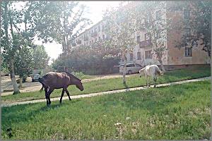У забайкальских пенсионеров государство украло пенсии