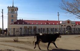 Правительство РФ надеется сделать Забайкальск и Краснокаменск «точками роста» туризма