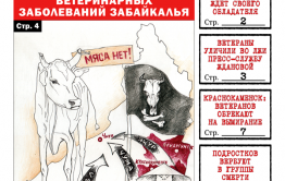 «Вечорка» № 8: ящур лишит забайкальцев мяса, ложь губернаторской пресс-службы и продолжение исповеди читинской проститутки