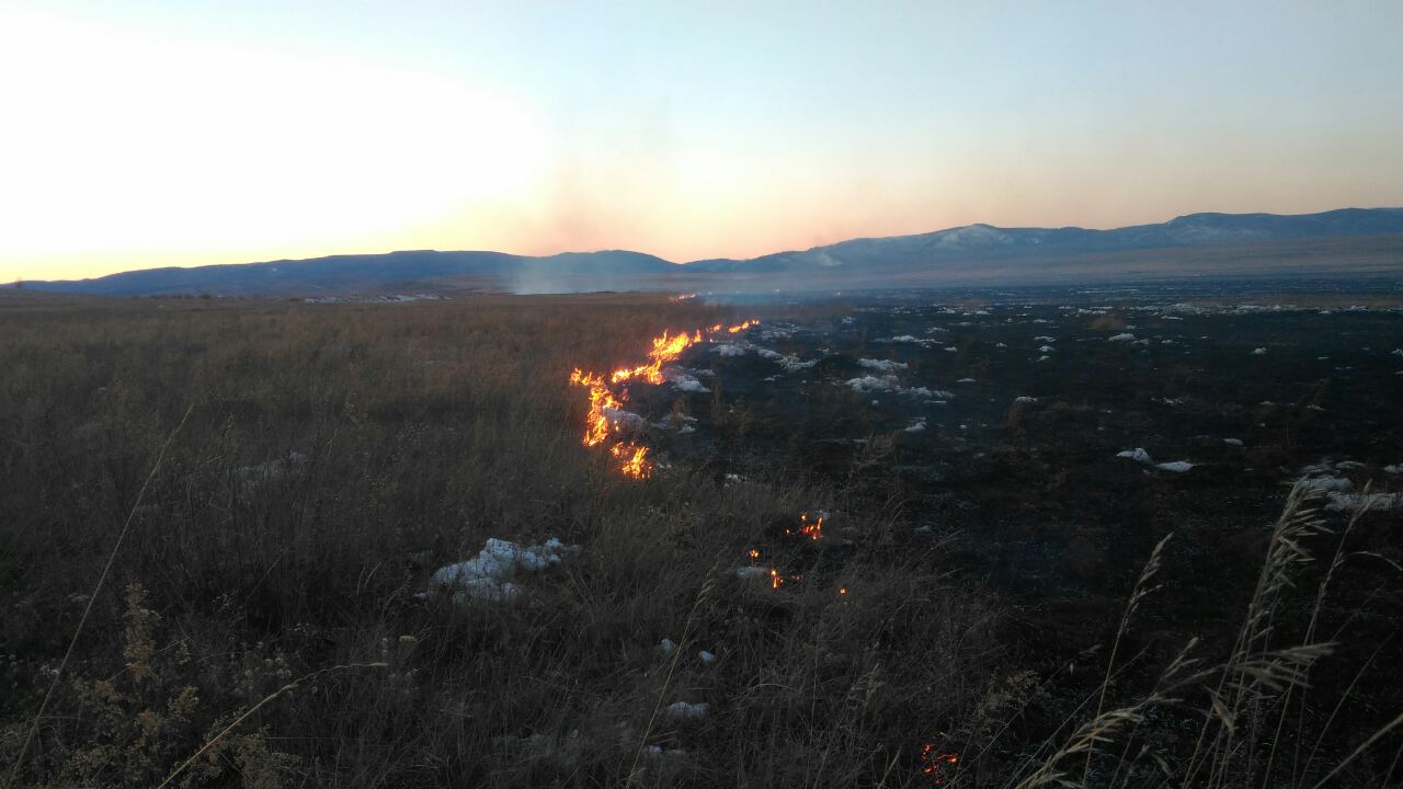 Еще один степной пожар обнаружен корреспондентами «Вечорки»