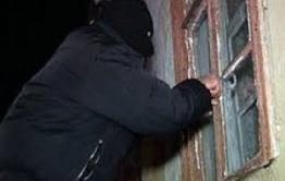 Дачный воришка пойман