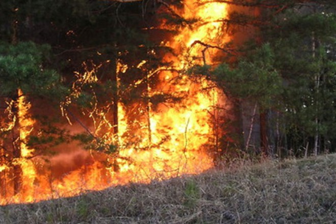 Вновь горим: лесные пожары обнаружены в Газ-Заводском и Карымском районах